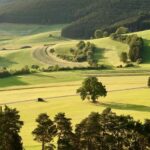 Виды правовых форм использования земель